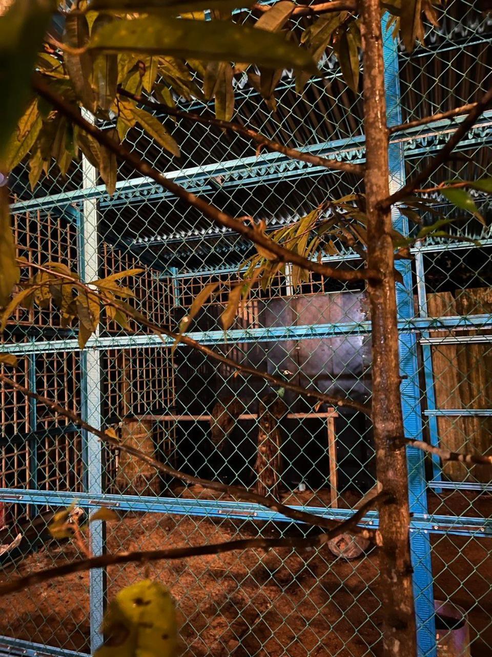 Bb Durio Chalet Kuala Terengganu Kültér fotó